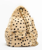 CH 25 Collection - Small | Mini